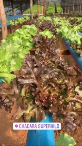 Hortifruti