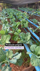 Hortifruti